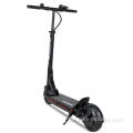 600W Citycoco 2 Rad OEM Electric Scooter